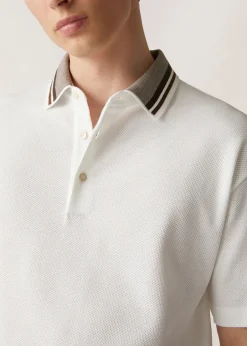Best Cambria Polo Shirt Man Polo And T-Shirts