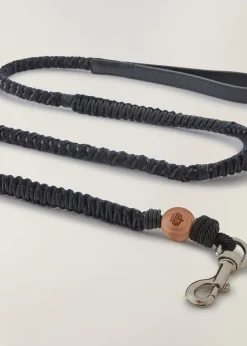 Outlet Doggie Leash Collars And Leads