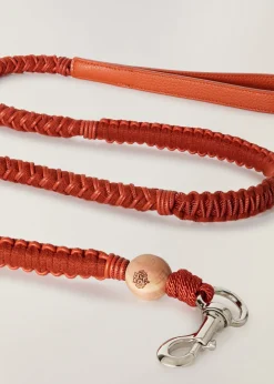 Sale Doggie Leash Collars And Leads