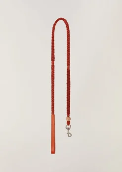 Sale Doggie Leash Collars And Leads