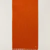 Best Grande Unita Scarf Man Scarves