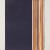 Fashion The Suitcase Stripe Stole Woman Stoles