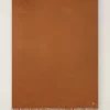 New Vicuna Stole Woman Stoles